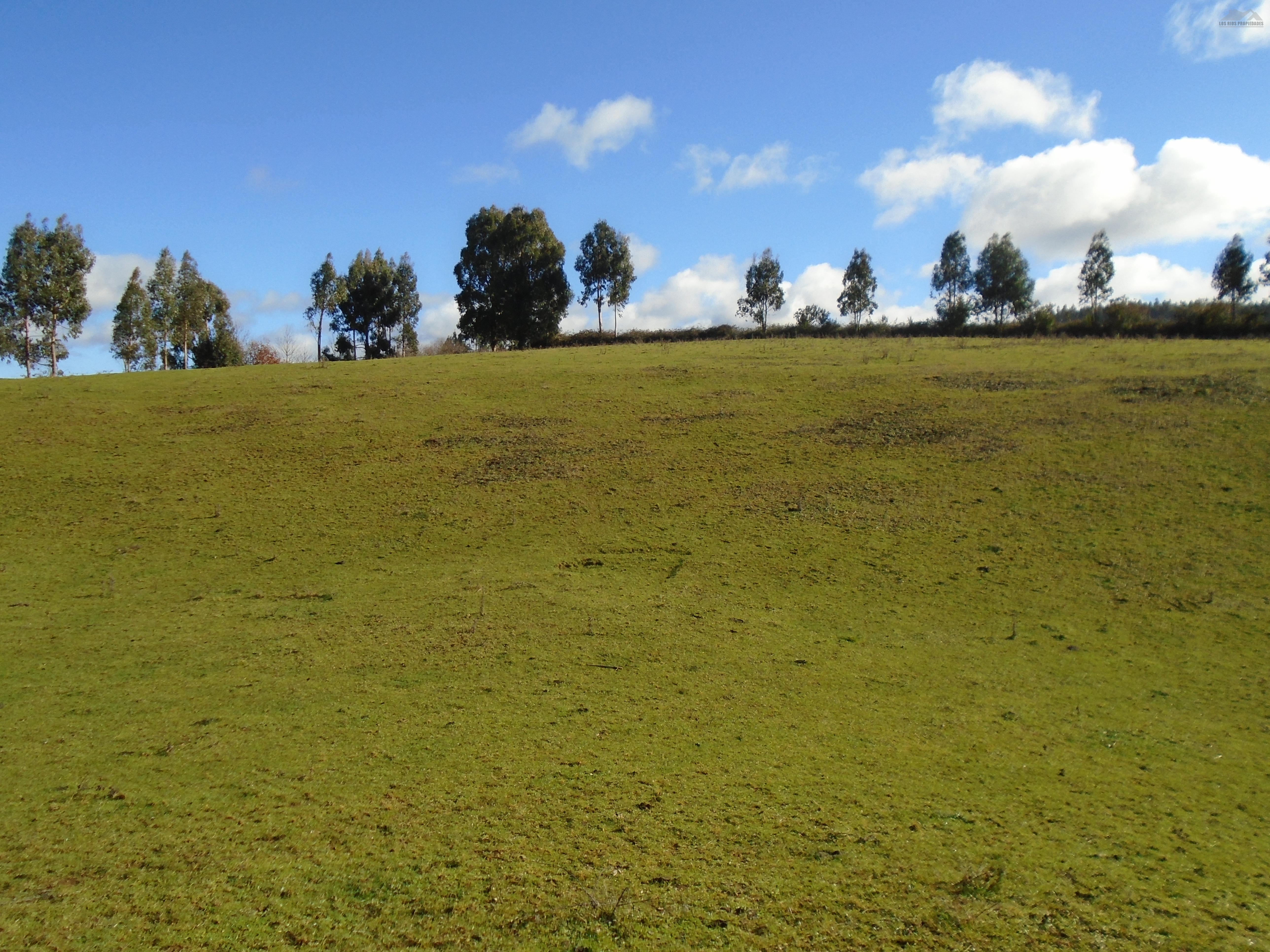 Hermoso campo ruta T70 La Unión 